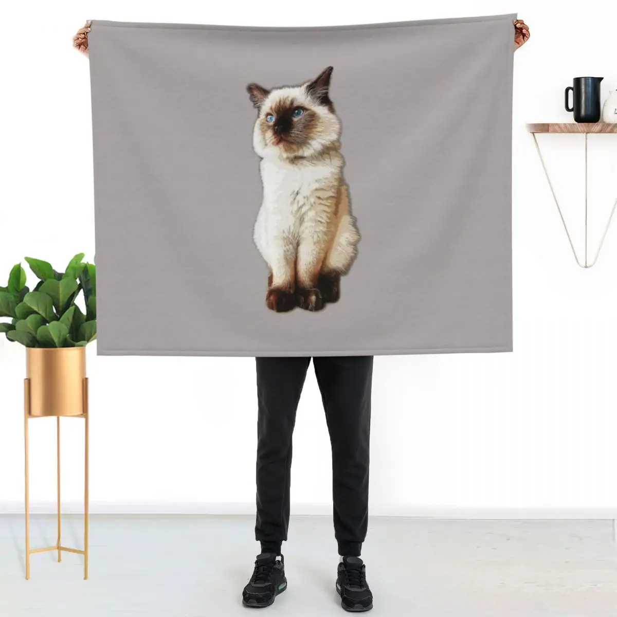 Ragdoll Cat Rag Doll Kitten Birman Seal Point Throw Blanket Hairys Custom Blankets For Baby Designers Camping Blankets