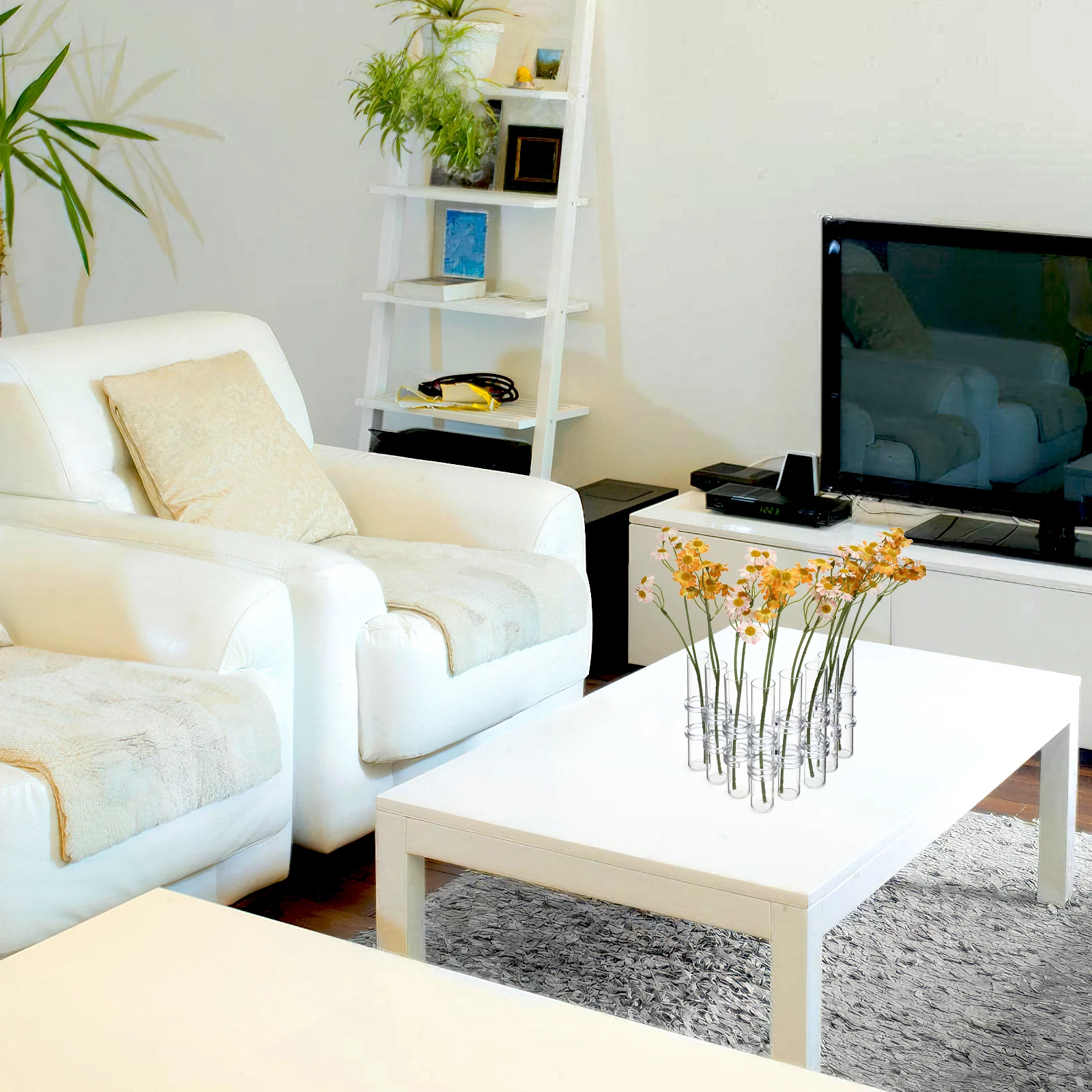 

1Set 15x25cm High Borosilicate Glass Tube Vase Flower Arranging Kit 14 S Shape Hooks 8 Vases 1 Brush Home Decor