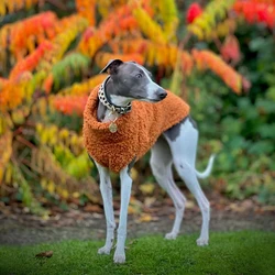 Suéter invierno cuello alto para Whippet y galgos españoles – calabaza
