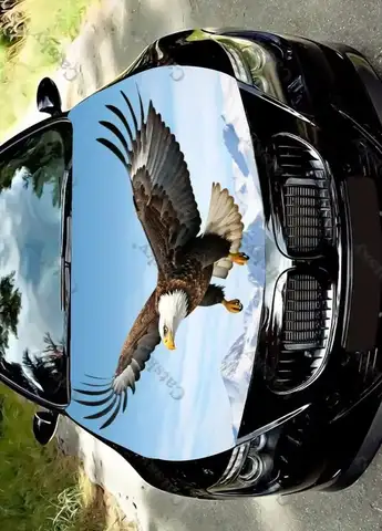 Bald Eagle Soaring In The Sky Car Hood Decal Truck Decals Vinyl Sticker Graphic Wrap Stickers Trucks Cars Bonnet Vinyls