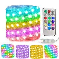 10M Christmas Wedding Party Decoration Light WS2812B SK6812 Pixels RGB Bluetooth LED Fairy String Addressable Individual USB 5V