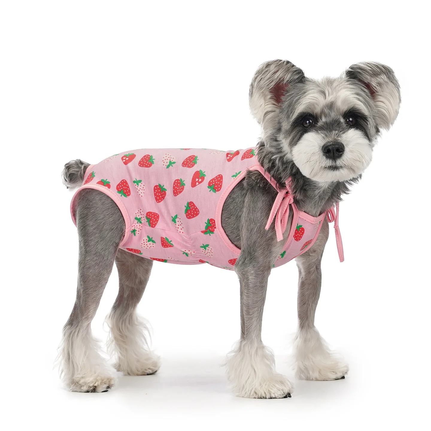 New Pet Dog Clothes Anti-Lick Diaper Panties Suspenders Spay Recovery Suit for Female Dogs Small Medium Breeds Poodle Bichon