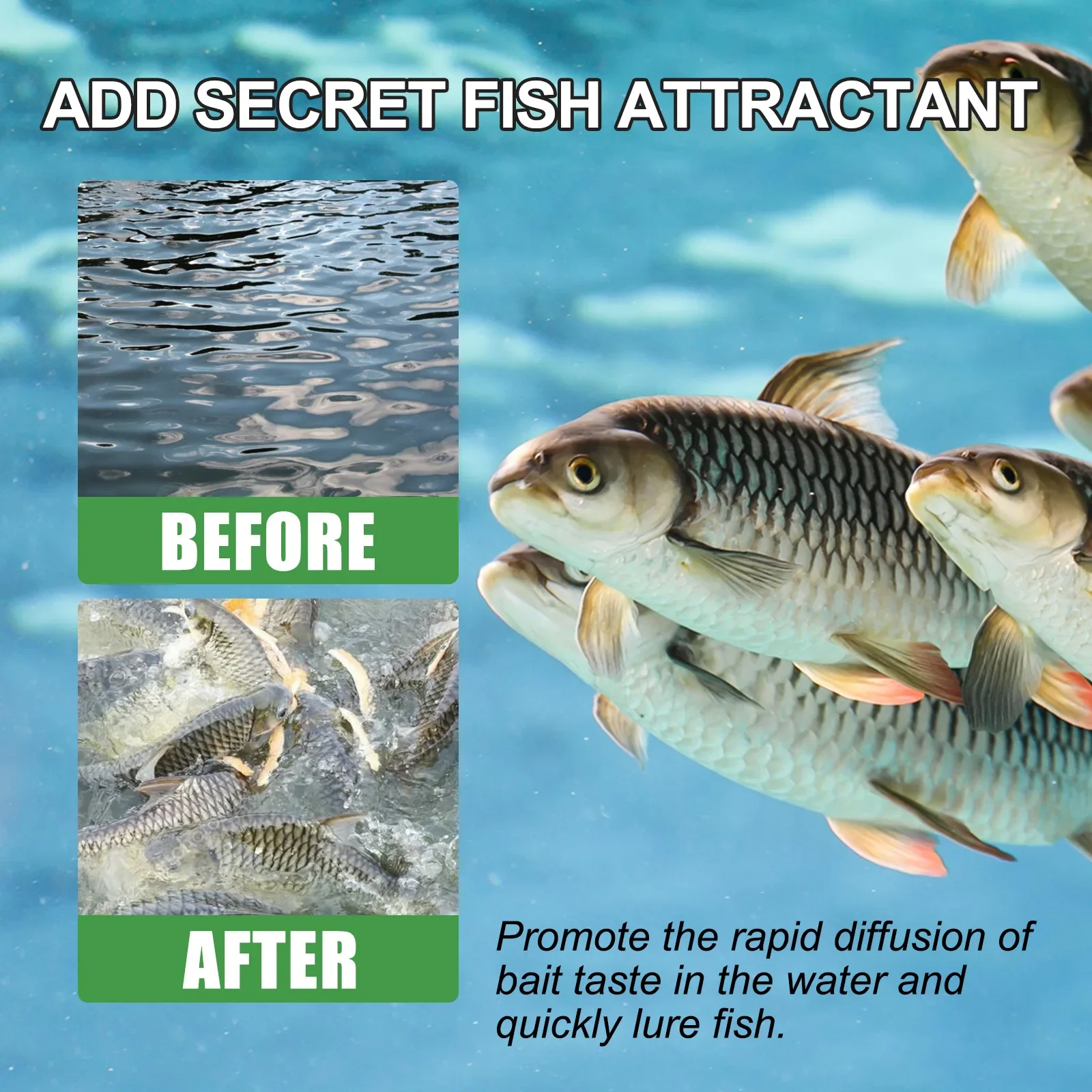 Natural Absorb Scent Fish Attractants For Absorb , Fishing Additive Spray, High Concentration Absorb Attractant Enhancer 30ml