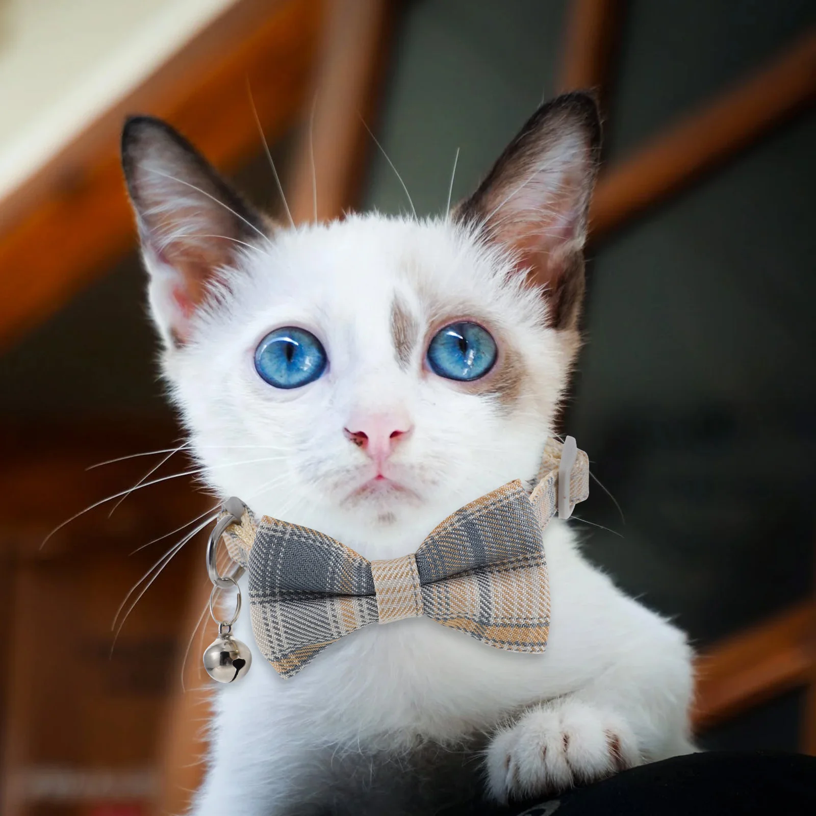 

2pcs Cute Cat Collar with Bell Bow Necklace Pet Birthday Decorative Jewelry Accessory for Plastic Neck Wear