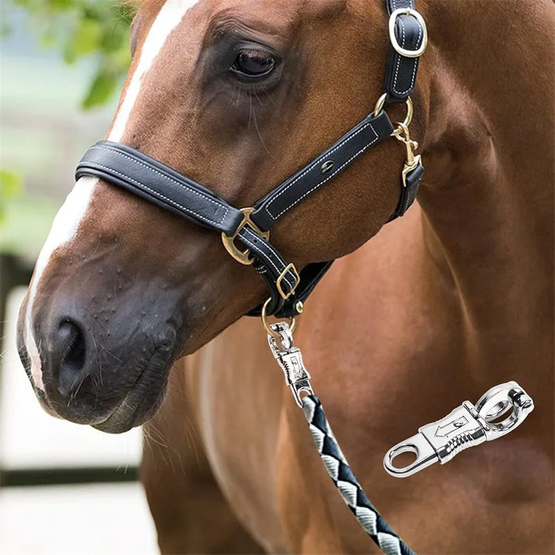 1/2 قطعة 10 سنتيمتر سبائك الزنك الحصان الذعر كليب مشبك الإفراج السريع الذعر هوك المفاجئة ل الفروسية الحصان المهر Cob منتجات العناية بالحصان