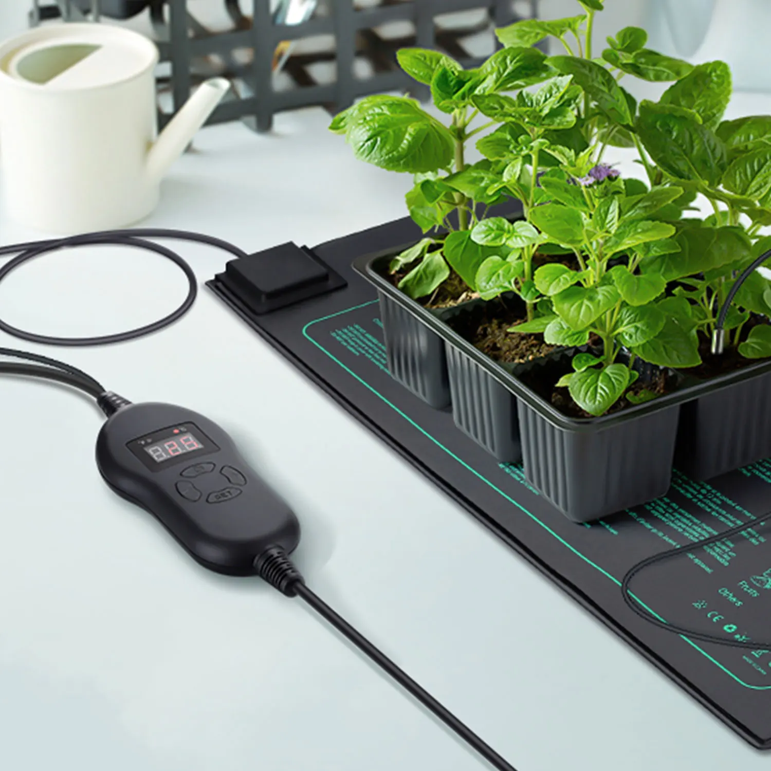 Category image: Heating Quilts & Mats