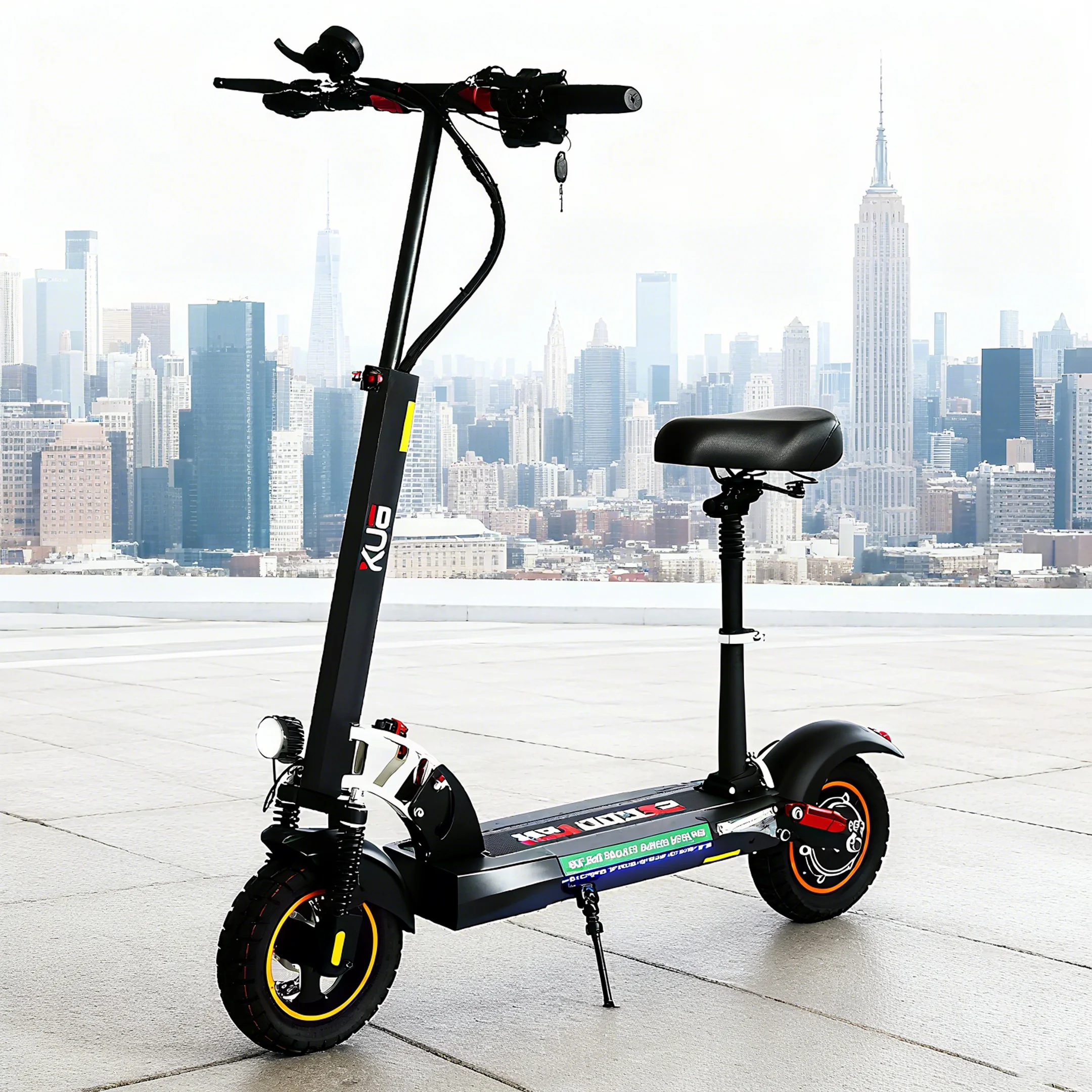 Electric Scooter 800W Brushless Motor 10
