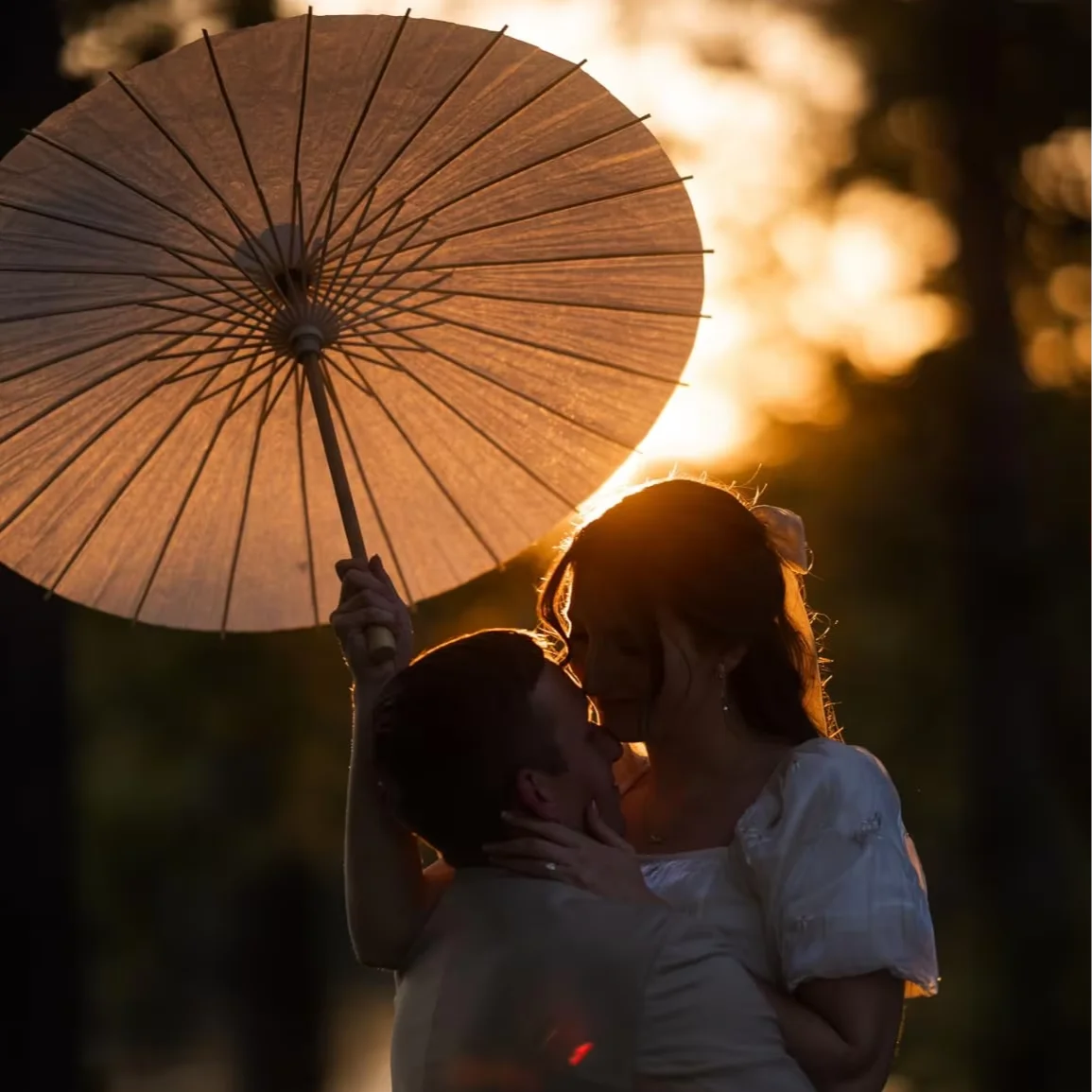 

High Quality Decorative Umbrella for Wedding Decoration Oil Paper Umbrella