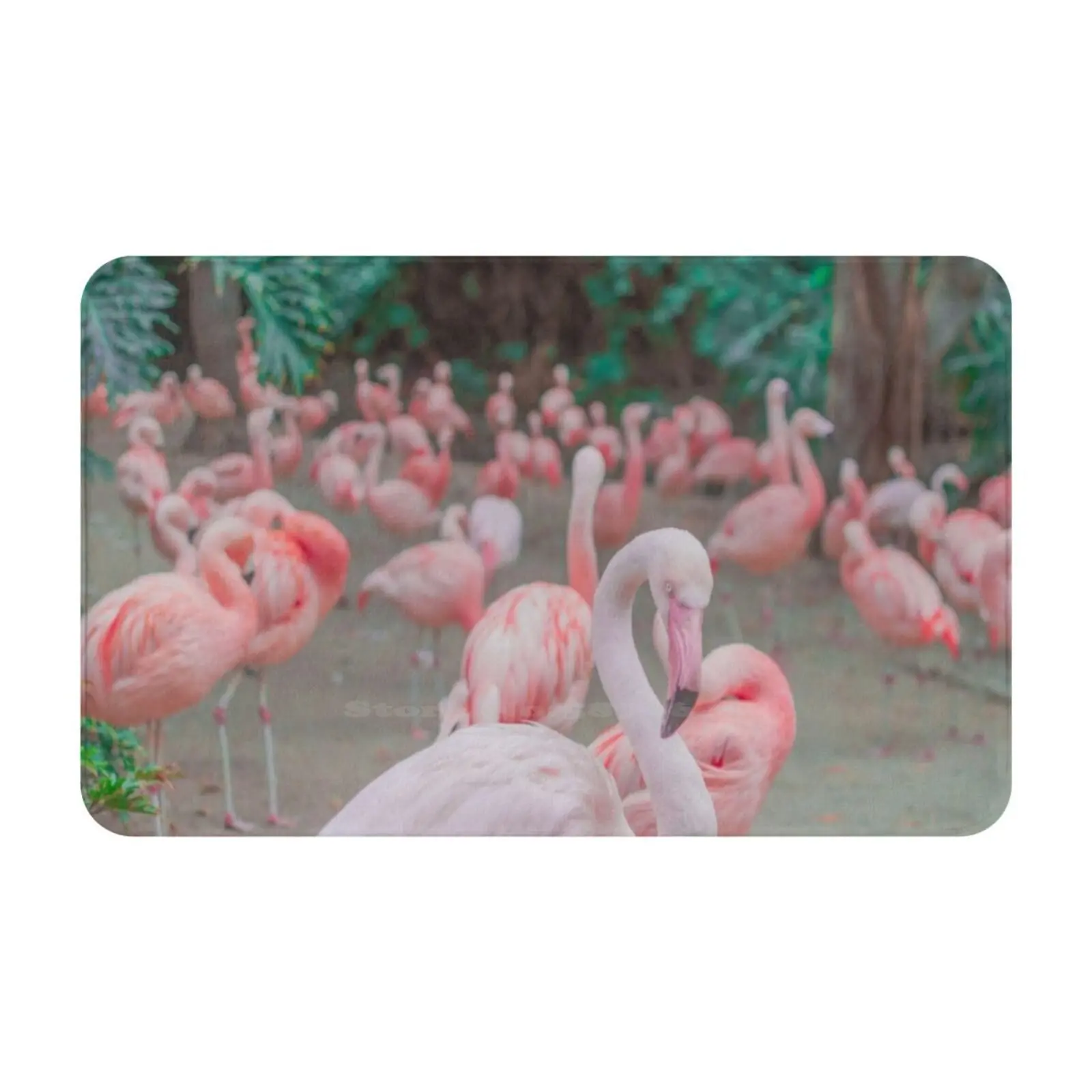 Group Of With Green Plants Background Soft Cushion Car Home Carpet Door Mat Isabelle Winardi Idraniwinardi Pink Flamingo Bird