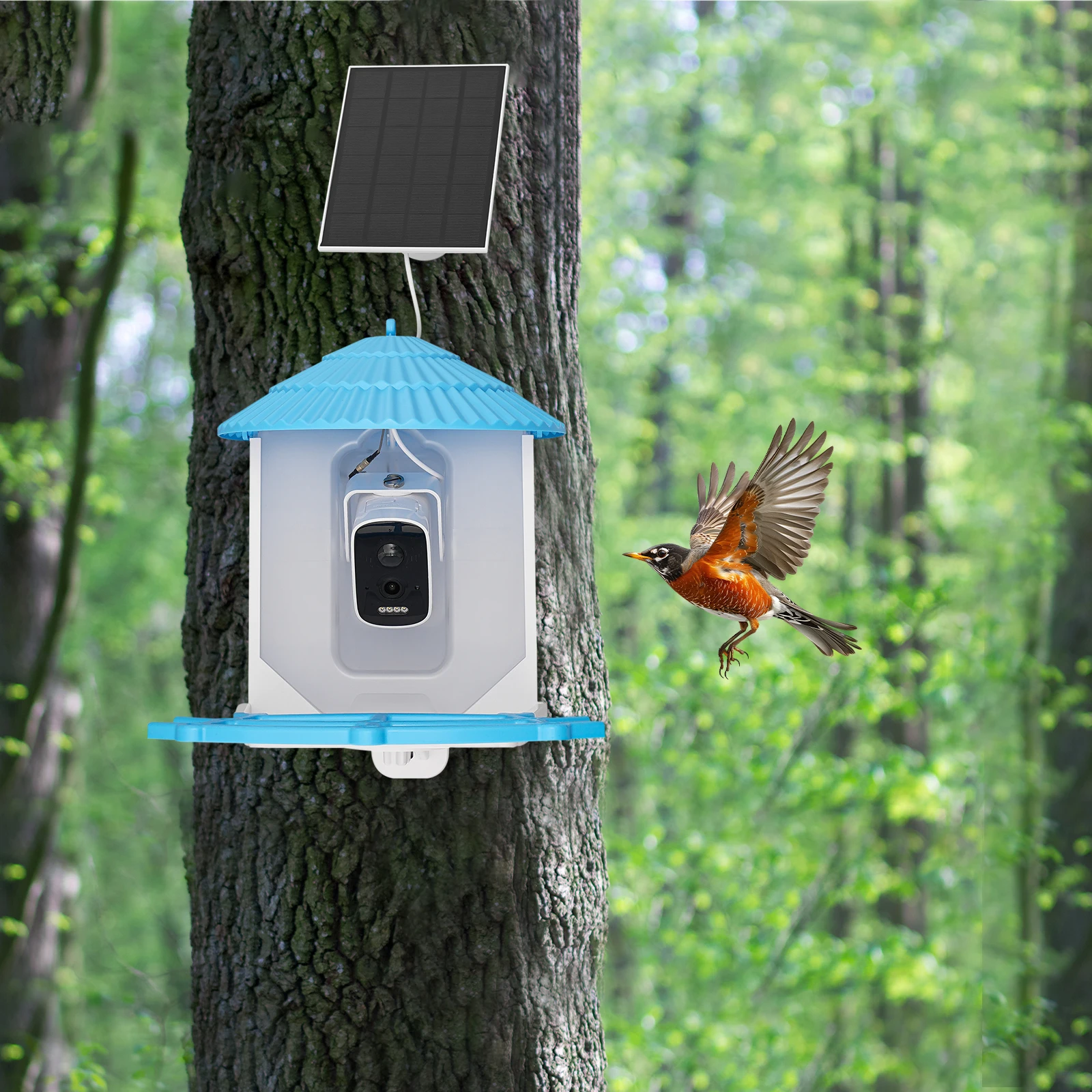 4MP HD Kamera AI Kuş Besleyici - Smart Garden Ai incelemesi ve fiyatı