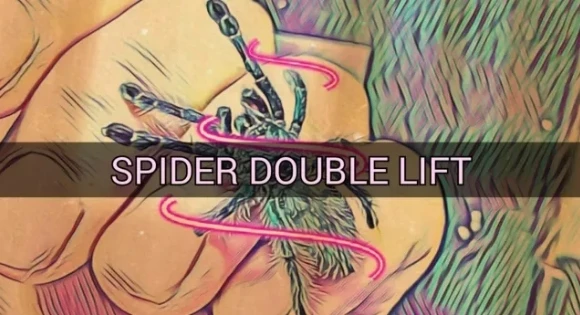 SPIDER DOUBLE LIFT by TN - Magic tricks (Instant Download)