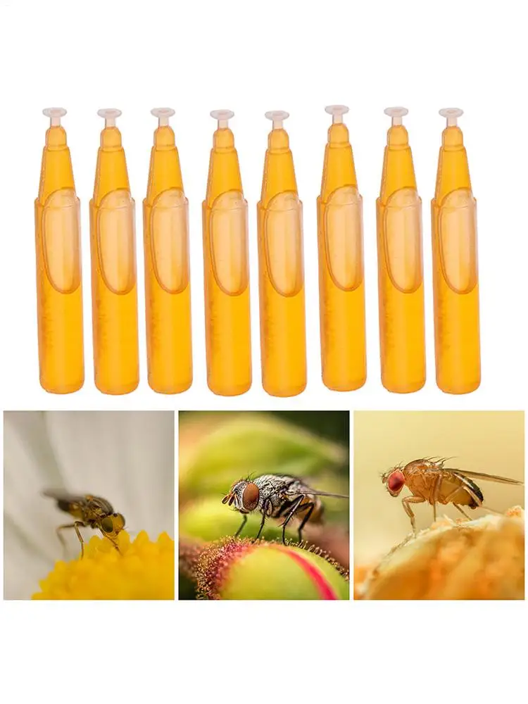 Atrayente de moscas de frutas líquido, matamoscas de frutas al aire libre, atrayente de drosófila para jardines, patios traseros, invernaderos, 10 Uds.
