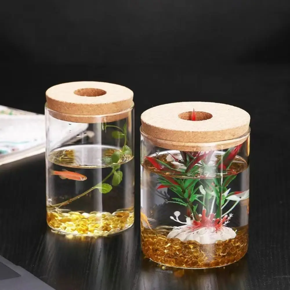 Transparent Hydroponic Plants Flower Pot Thickened Glass Transparent Glass Pots Mini Round Ecological Glass Vase Balcony
