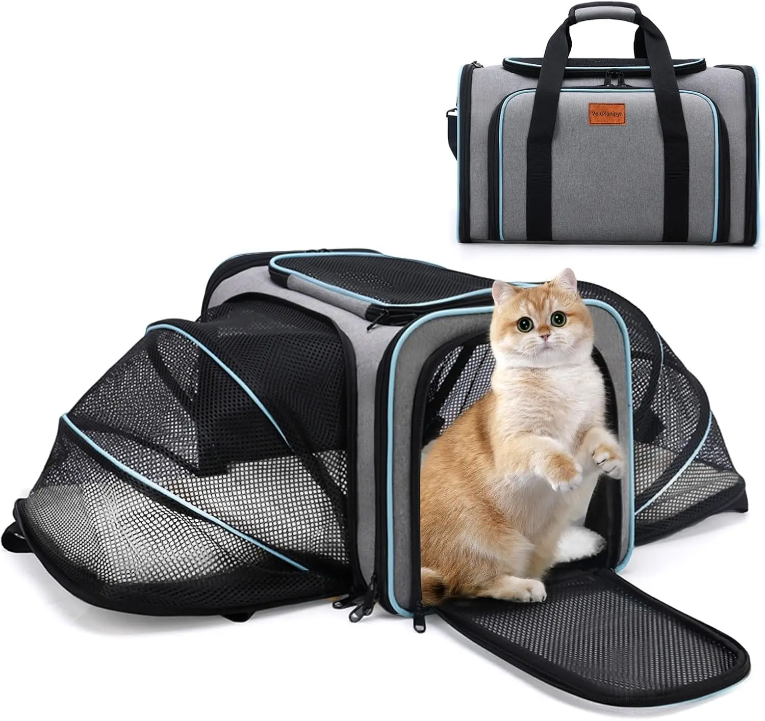 

Expandable Airline Approved Pet Carrier, Soft-Sided Travel Bag for Small Cats Dogs with Hard Shell Base, Removable Fleece Pad
