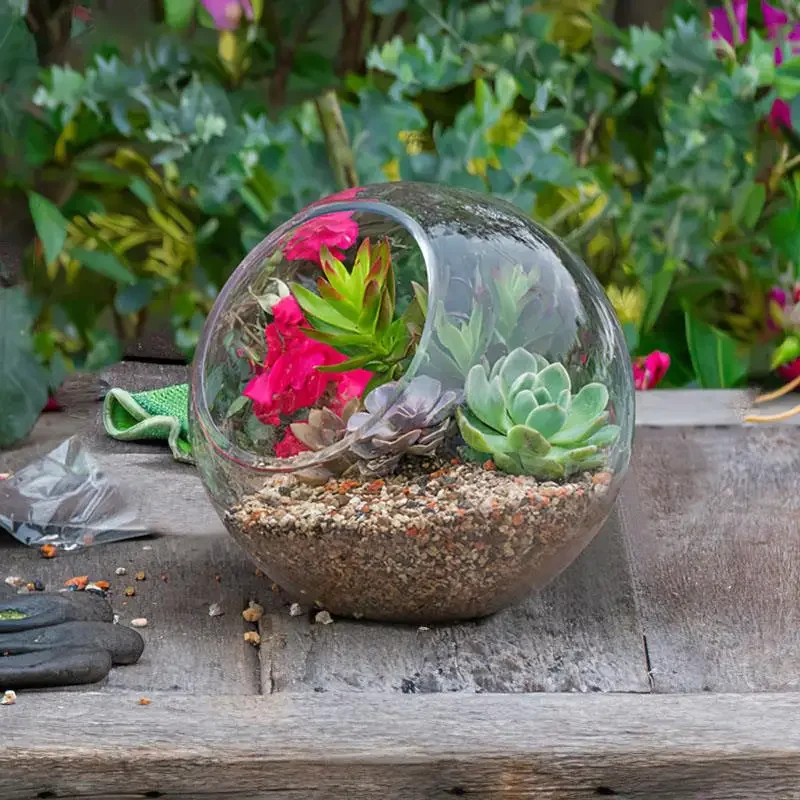 

Nice 3 Pcs Terrarium Air Plant Planters Glass Bowls Vases Desktop Glass Plant Containers Glass Planters Decorations For Home Off