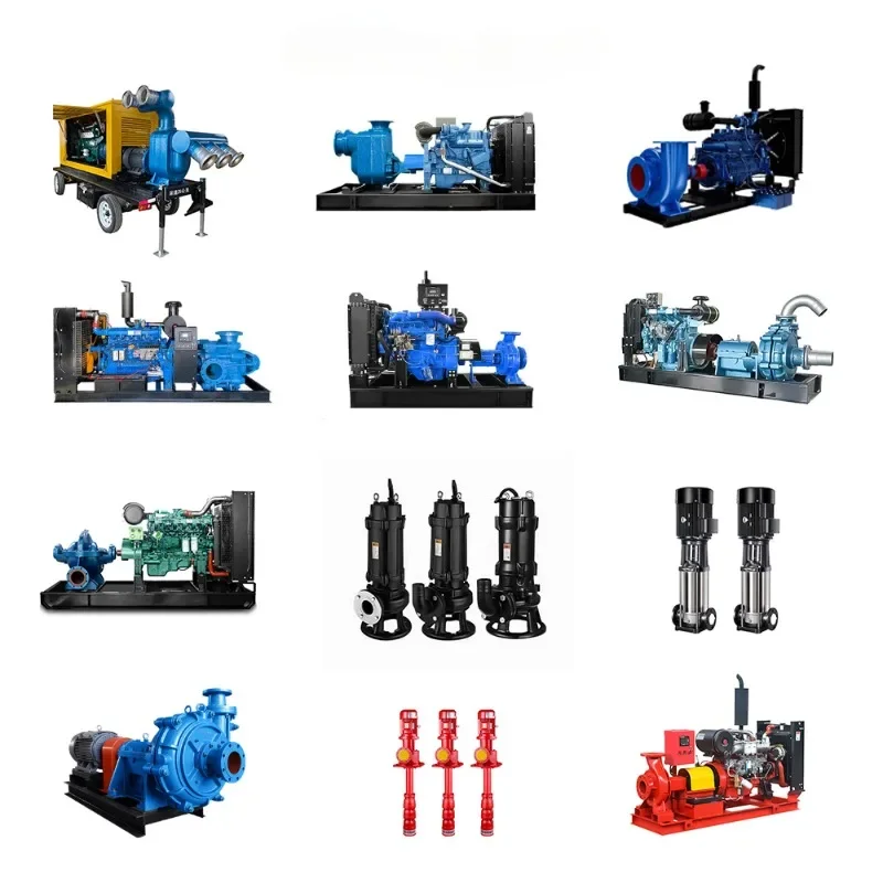 Pompe à Eau de Mer SubSN en Acier Inoxydable