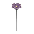 HH654-purple