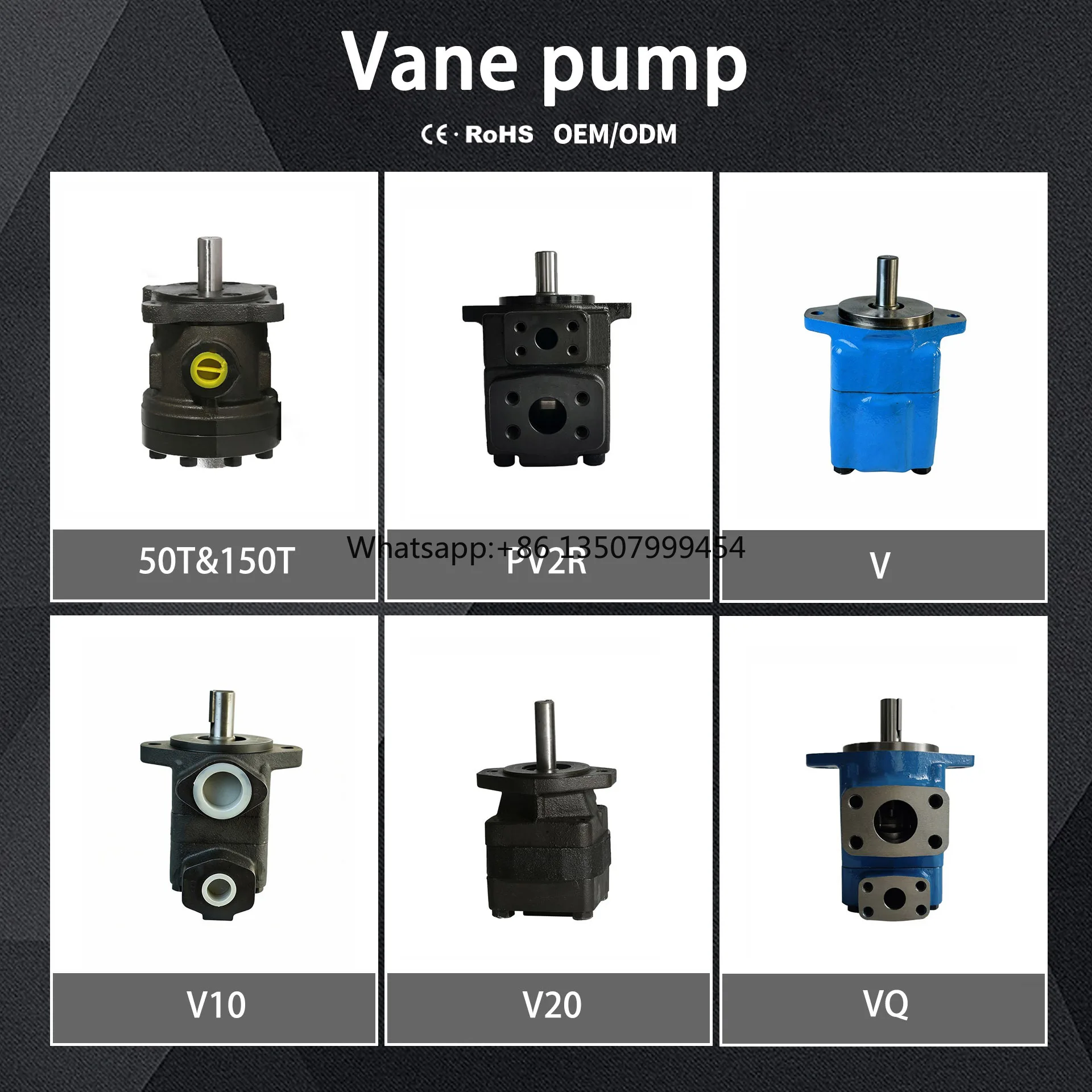 

V10&V20 Vane Pump with 1 Year Warranty for Small Forklifts