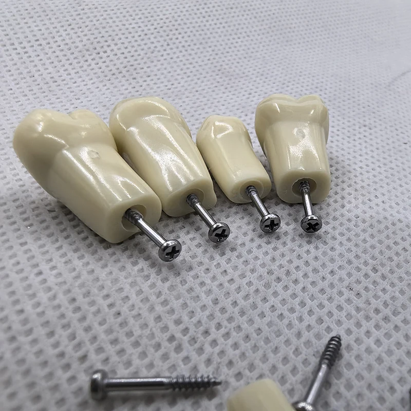 Thumbnail 2 - #26 Dental Teaching Models Deals & Discounts