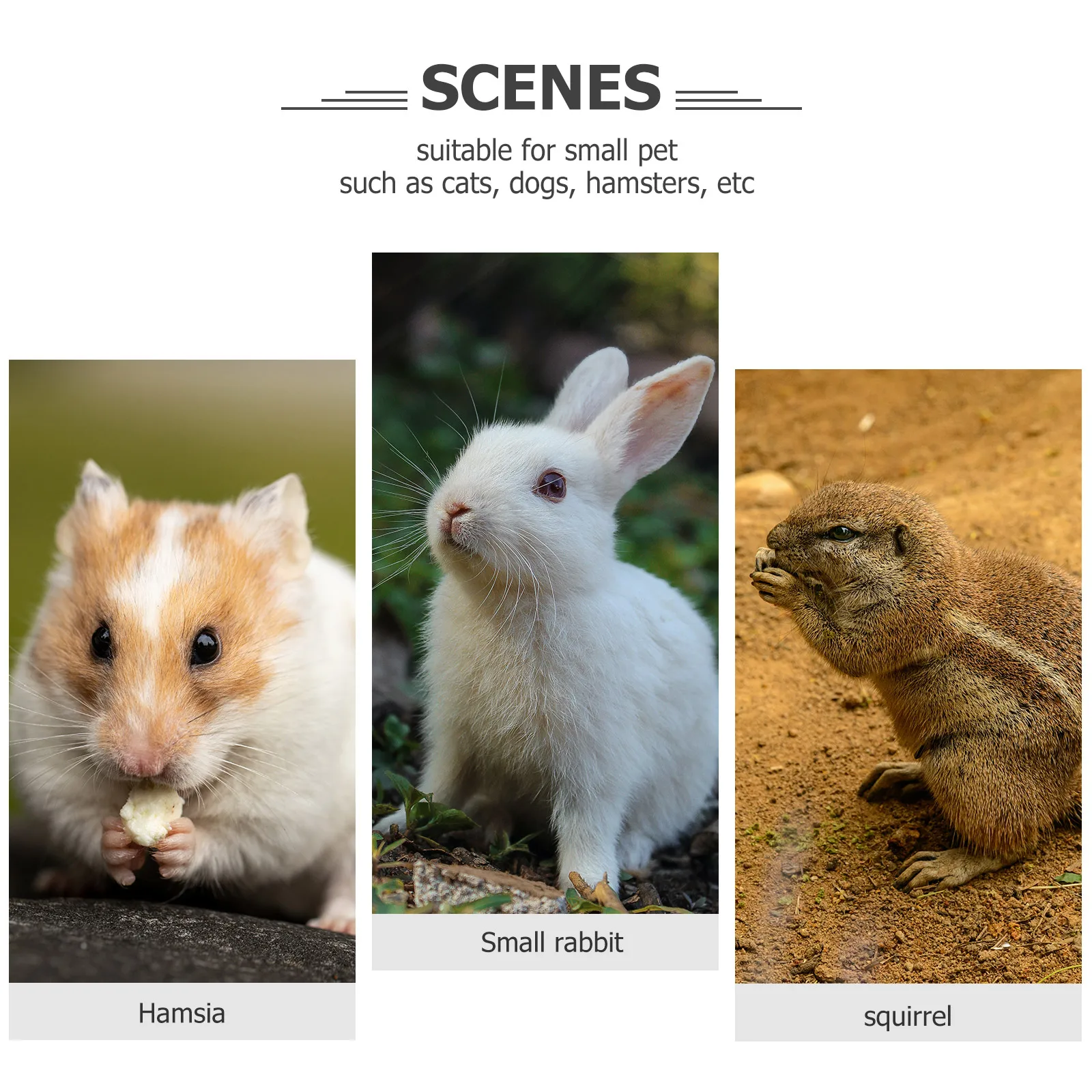 

Urn Ashes Placement Box for Human Small Urns Souvenir Mini Keepsake Blue Containers