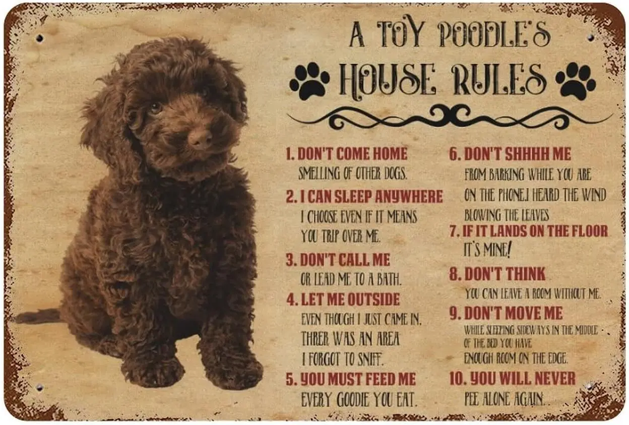 Funny Dog Rules Metal Tin Sign A Toy Poodle;s House Rules Wall Art Rustic Farmhouse Dog Signs With Sayings For Home Decor Gif