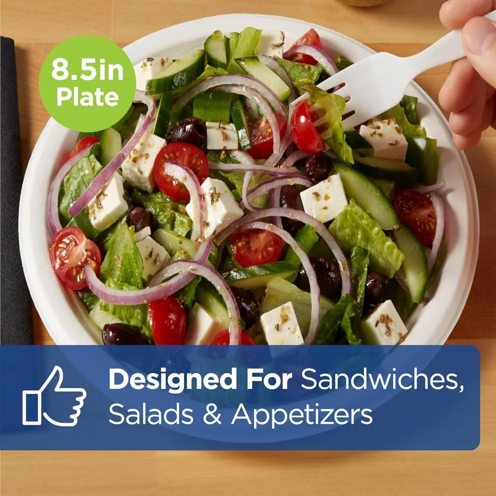 ألواح ورق بيضاء متوسطة الوزن مقاس 8.5 بوصة، عدد 1000، يمكن التخلص منها، 125 طبقًا في كل عبوة، 8 عبوات في كل علبة، مثالية للحفلات و