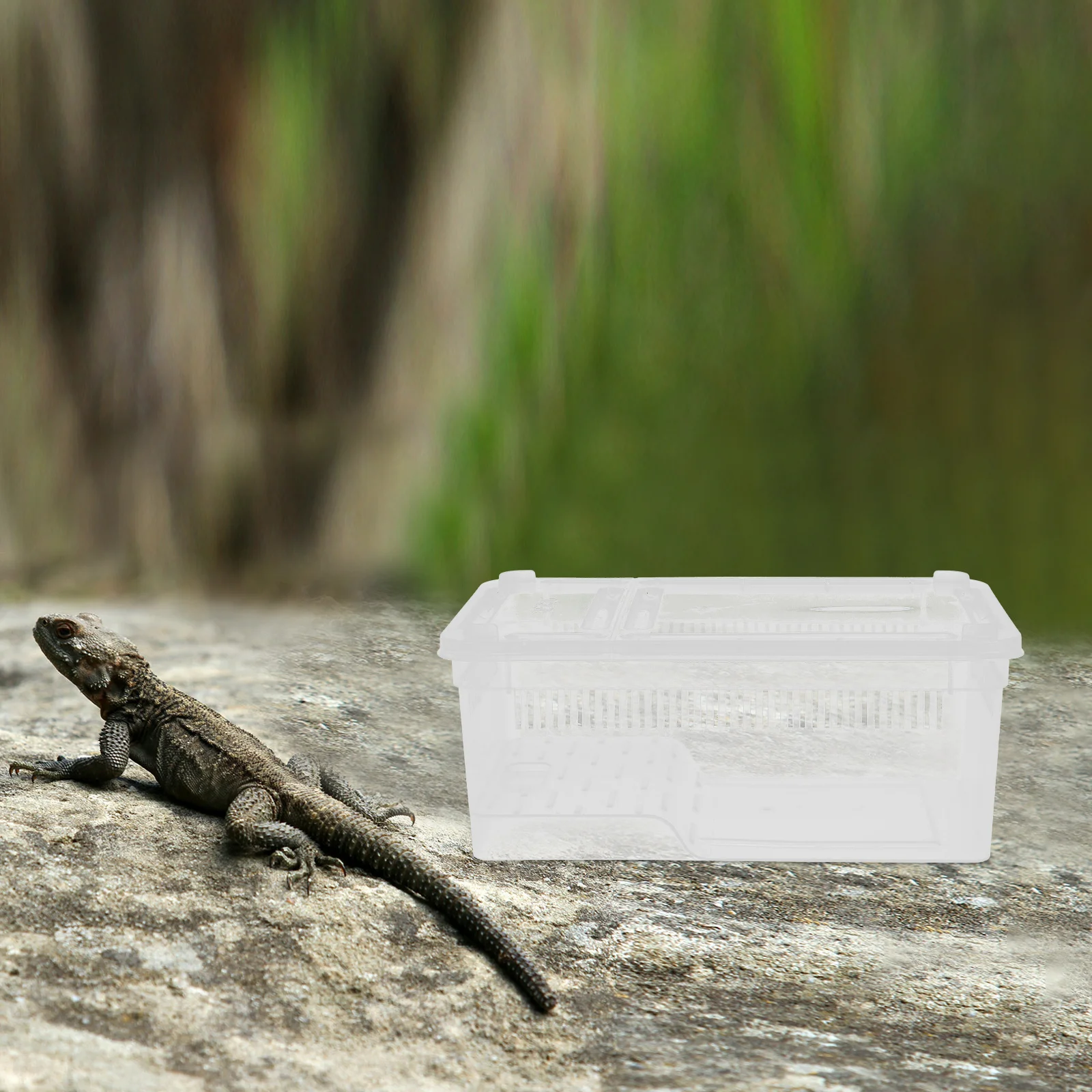 

Reptile Breeding Box Transparent Plastic Snake Feeding Container With Breathable Holes Portable Travel Carrier For Lizard