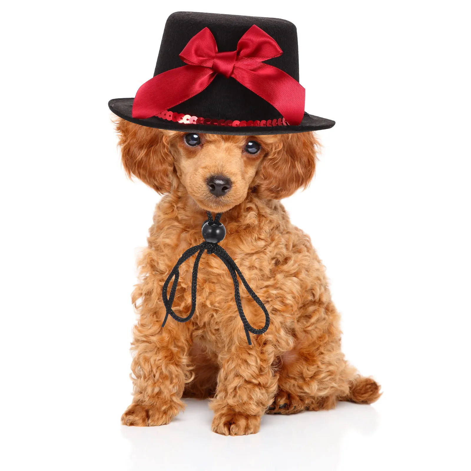 

Pet Hat for Cat Dog Small Dogs Hats Cats Puppy Decorative Costume Creative Bowler Light Photo Prop Party Pet Supply Christmas