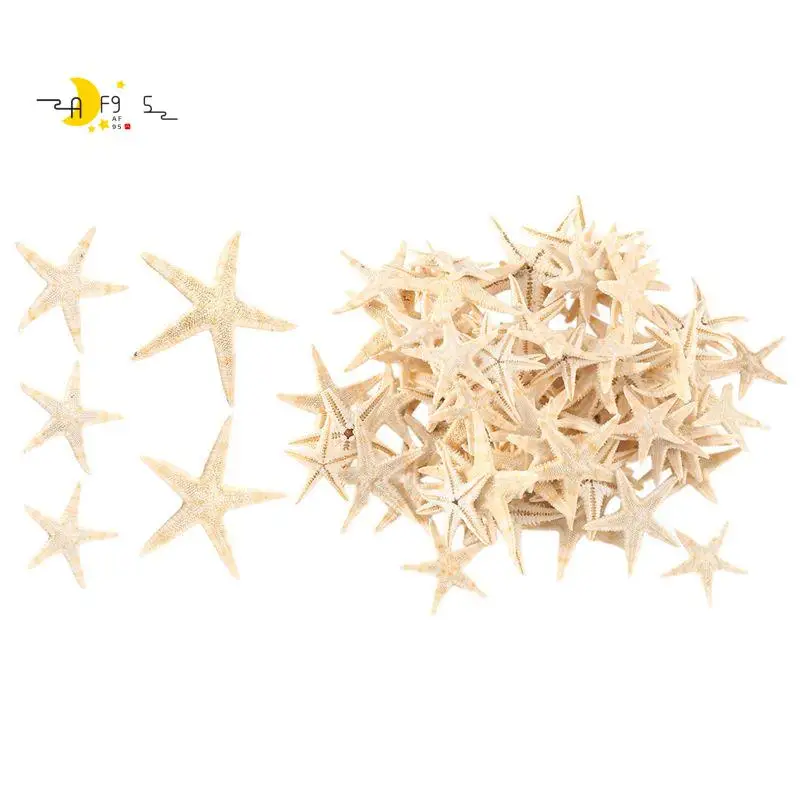 

AF95-маленькая морская звезда, морская ракушка, пляжное ремесло, 0,4-1,2 дюйма, 90 шт.