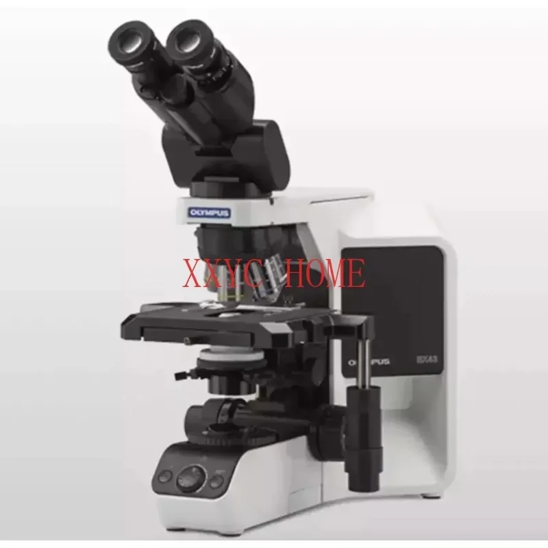 Factory Prices Olympus BX43 China Binocular Microscope Laboratory Microscopes