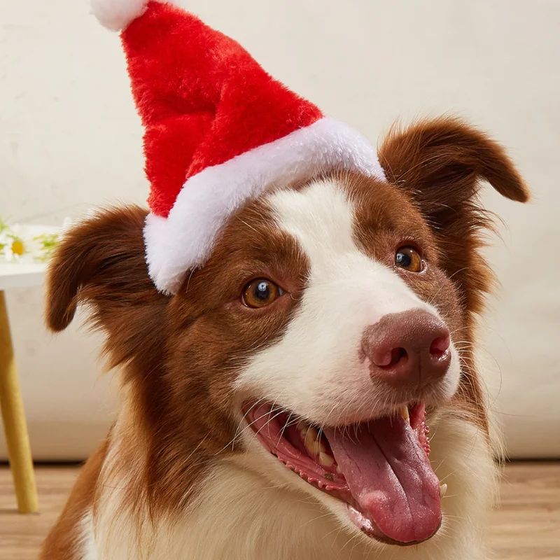 Christmas Dog Clothes Cap Pet Cat Dog Christmas Hat Plush Santa Hat Merry Christmas Decorations for Small Medium Dog Supplies