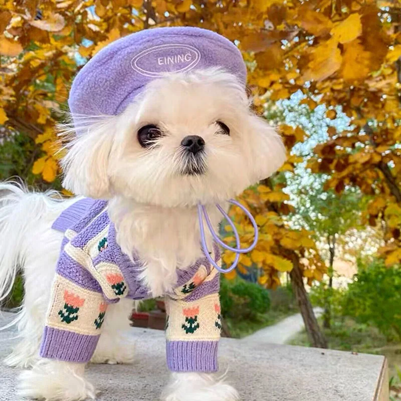 Pretty Flower Pet Sweater Winter Puppy Warm Clothes Bichon Frise Teddy Two Legs Clothes Maltese Soft Cardigan