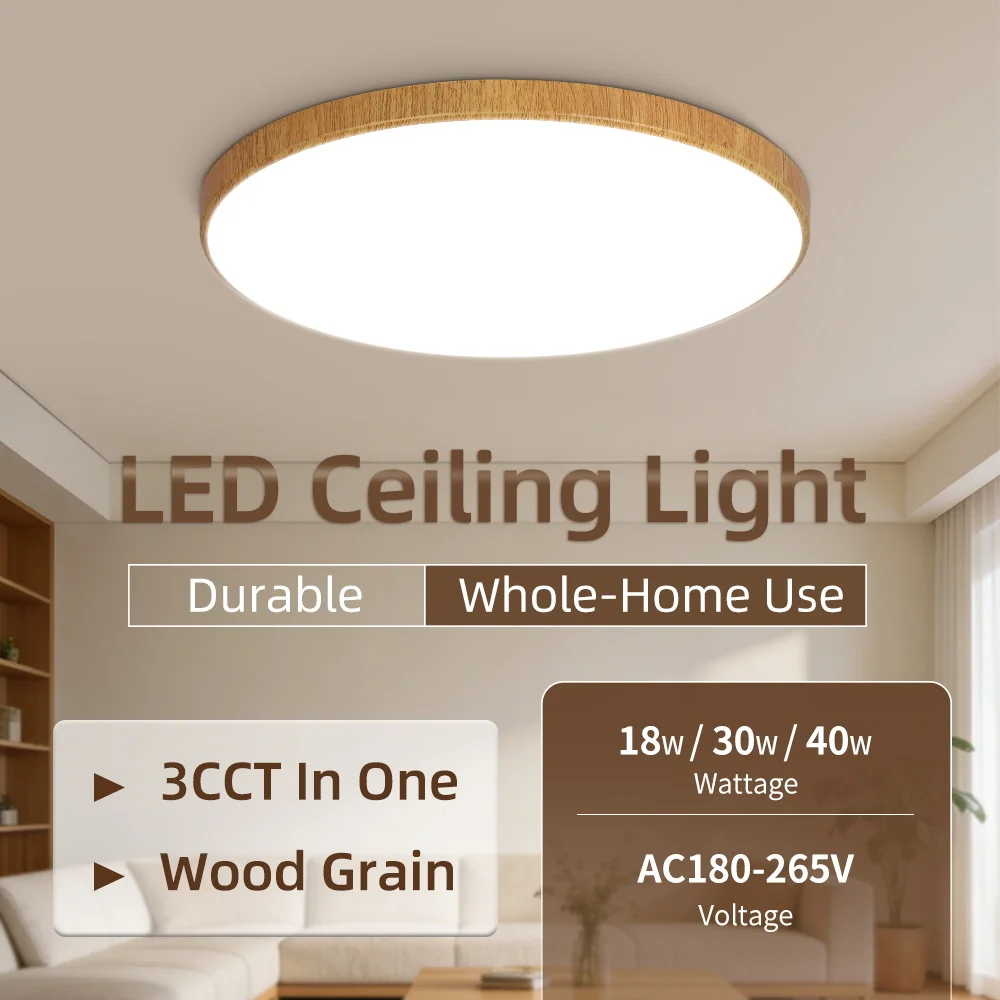 Flush Mount Ceiling Light 180-265V Round Ultra-Thin Bedroom Kitchen Living Room Light Modern Ceiling Lamp Indoor Mosquito