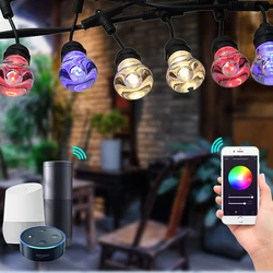 FROGBRO Crystal RGB LED String Lights Outdoor Street Garden Patio Holiday RGB Lights String Compatible with Alexa & Goole Home