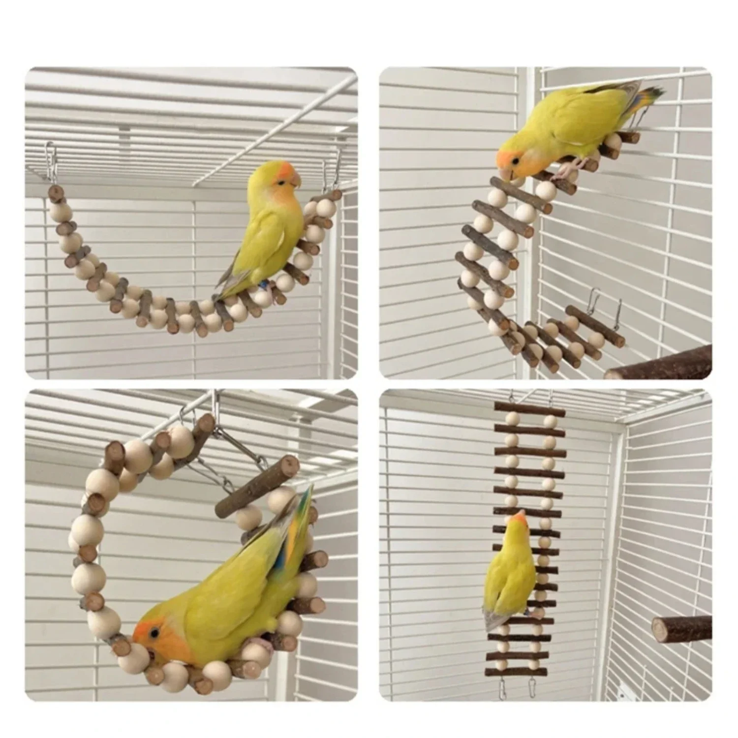 enturous birds of all sizes and breeds! This colorful and durable ladder will provide hours of entertainment and exercise for yo