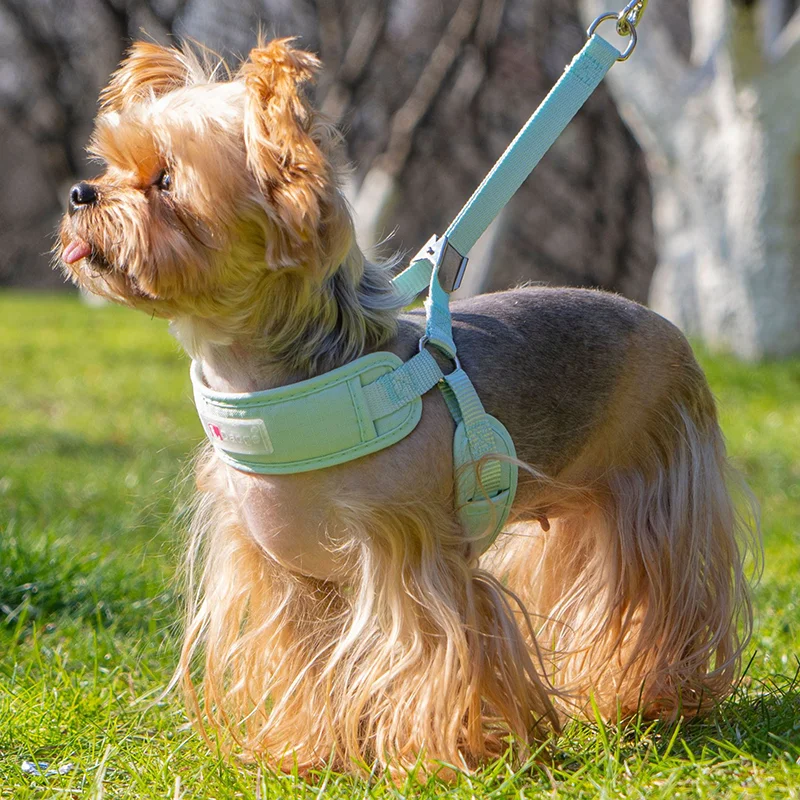 Breathable Pet Harness Vest and Leash Set Dog Harness Vest Dog Leash For Comfortable Handle Dog Harness For Small Medium Dogs