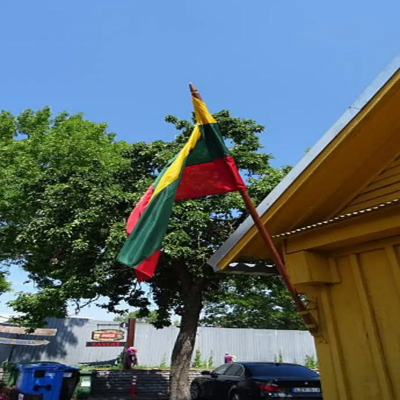 Johnin Republic of Lithuania Flag Ltu Lt 90x150 Cm Lithuanian National Banner for Home Garden Decor