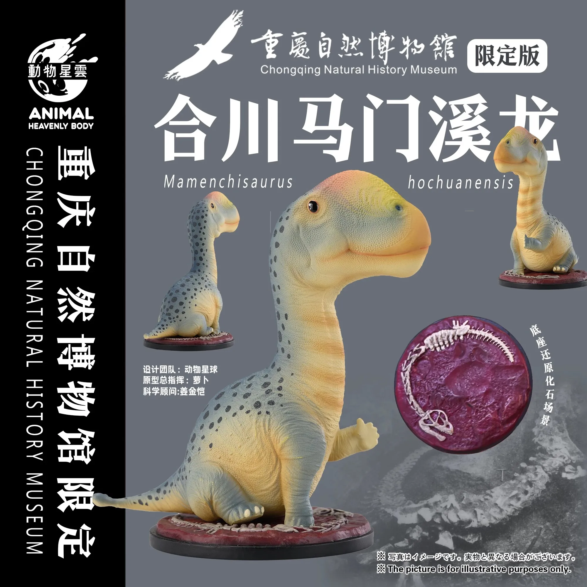 ANIMAL HEAVENLY BODY Studio Mamenchisaurus Hochuanensis Model Dinosaur Animal Figure Collection Desk Decor Gift Toys