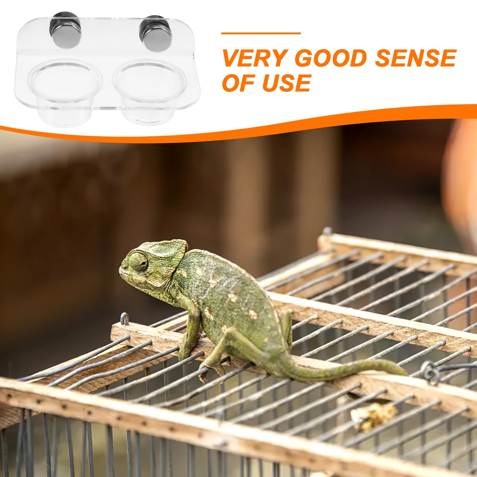 

1Set Durable Magnetic Reptile Food Feeder Gecko Feeding Cup Water Bowl Dish for Lizards Spiders Reptile Feeder