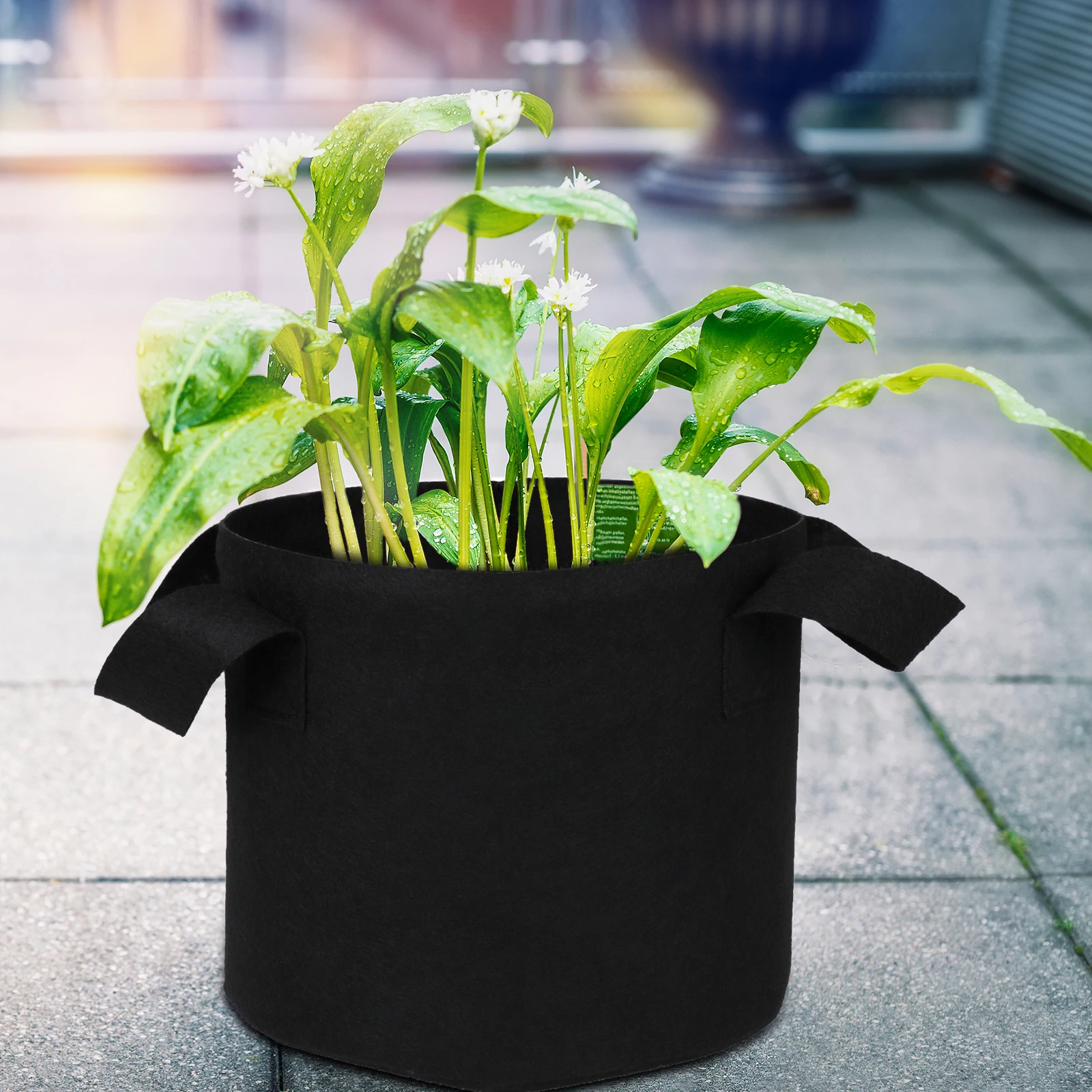 

Gardening Planting Bag Black Felt Fabric Grow Pot Container Vegetable Growing Planter Outdoor Garden Supplies