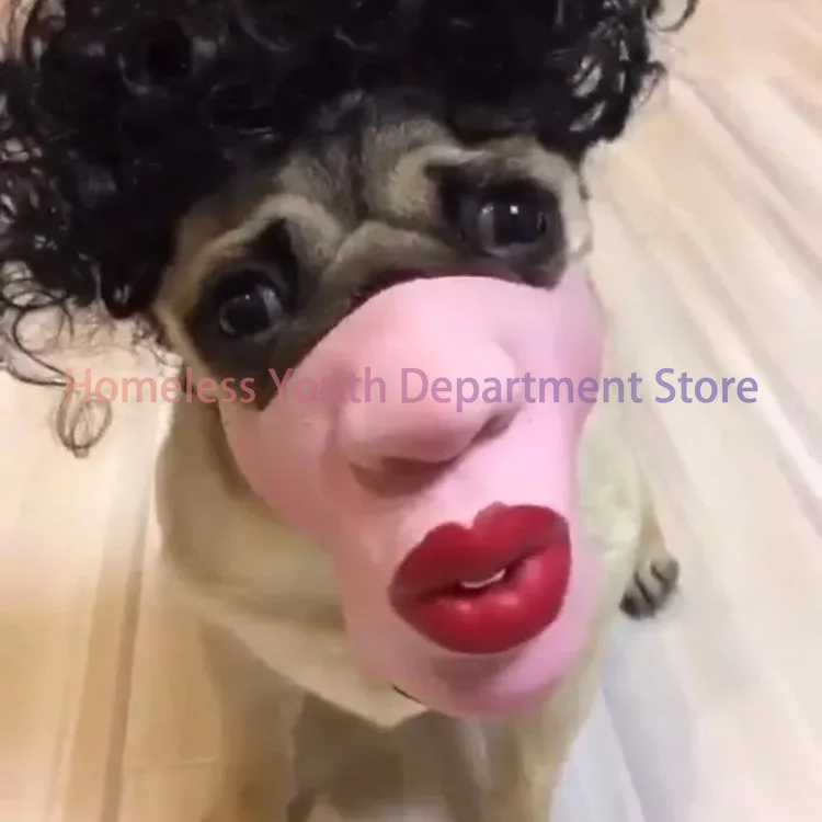 Pet dog funny mask funny mask