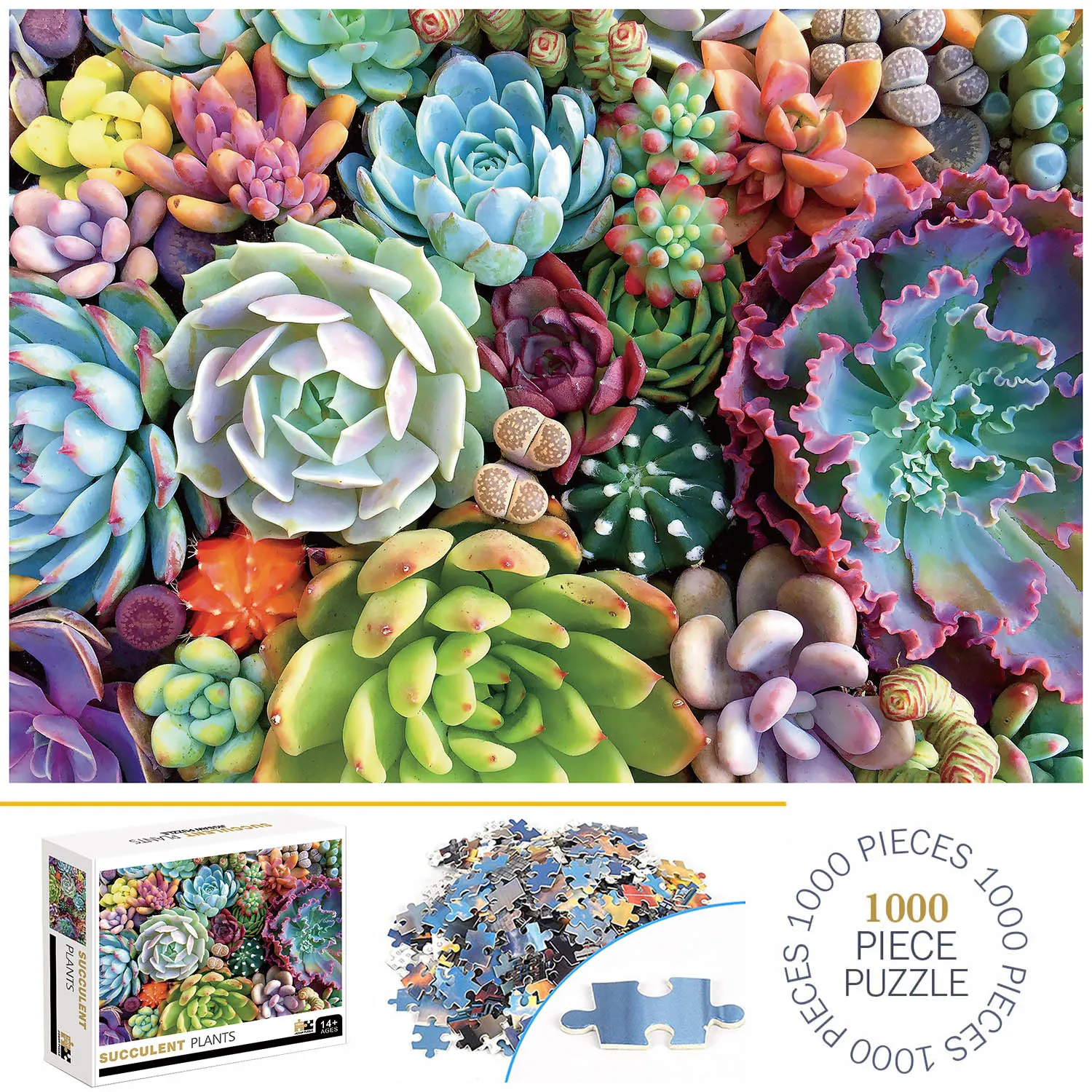 1000 pezzi piante succulente Jigsaw Puzzle Home Decor adulti Puzzle giochi Family Fun Floor Puzzle giocattoli educativi per bambini