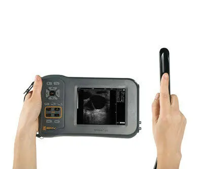 Veterinary farm animal ultrasound scanner FarmScan L60 portable echo ultrasound for cow pig sheep horse scanning