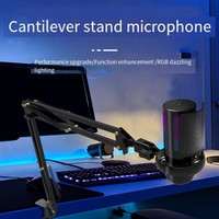 USB Microphone With RGB Lighting Switch One-Click Mute Professional Desktop Recording Mic With Stand Gaming Microphone