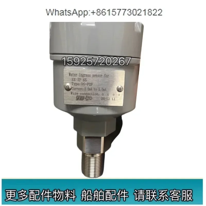 DS-P2F Liquid Level… - image