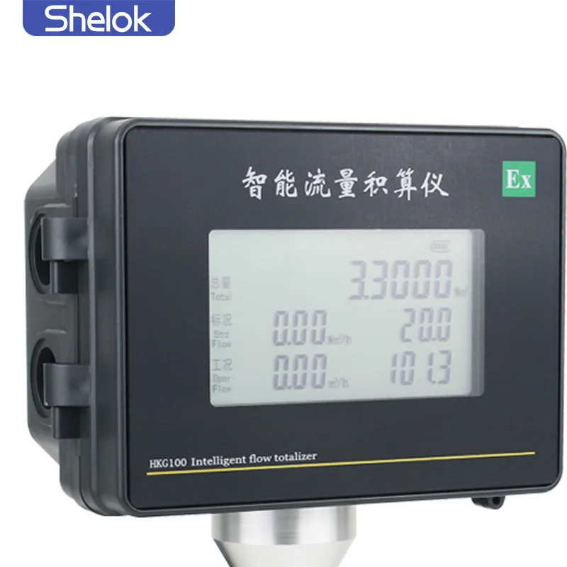 Factory Direct Sale Customizable OEM Natural Flowmeter I2c Rs485 Lpg Gas Regulator With Root Flow Meter