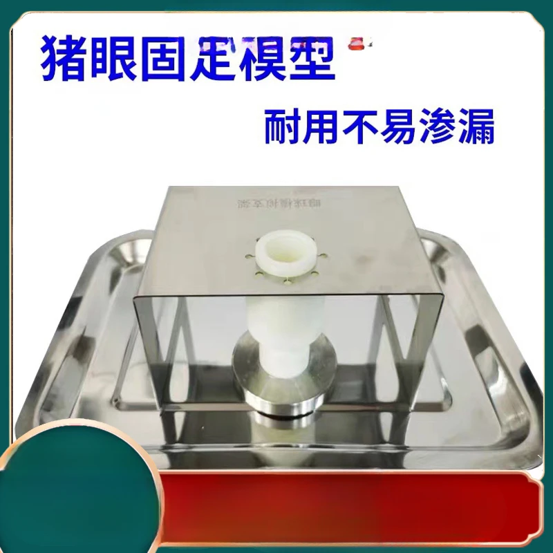 

Ophthalmic surgery practice model Ophthalmic human head model Ophthalmic sac tearing practice model Animal eye fixator