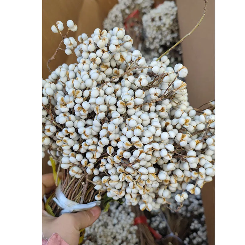 باقة زهور التوت الأبيض المجففة - فروع الفاكهة البيضاء المجففة الطبيعية، زهور ديكور المنزل البسيطة، زهور يدوية متعددة الاستخدامات #3