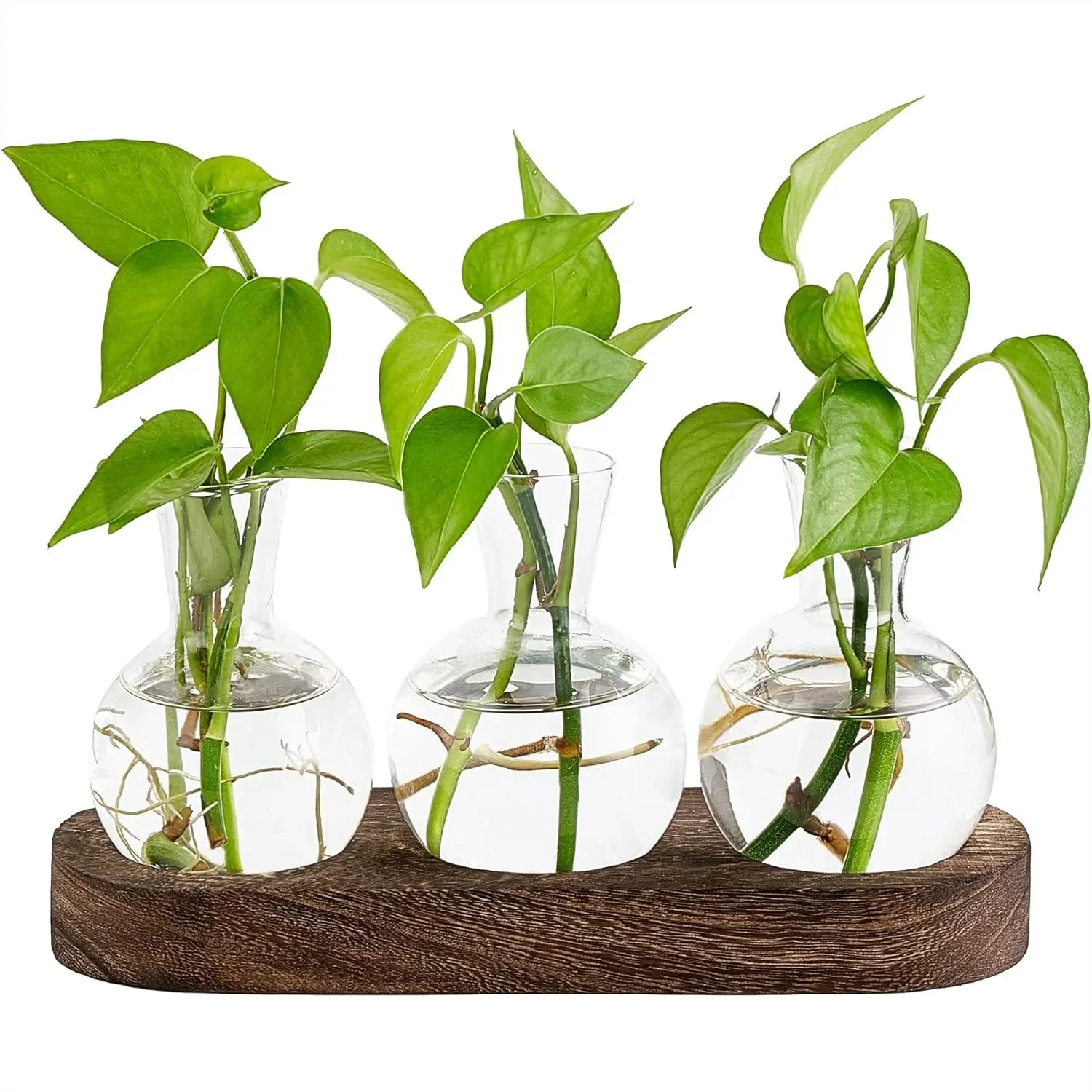 

Desktop Plant Propagation Station Glass Planter with Wooden Tray for Hydroponic Plants Home Office Decor Gift