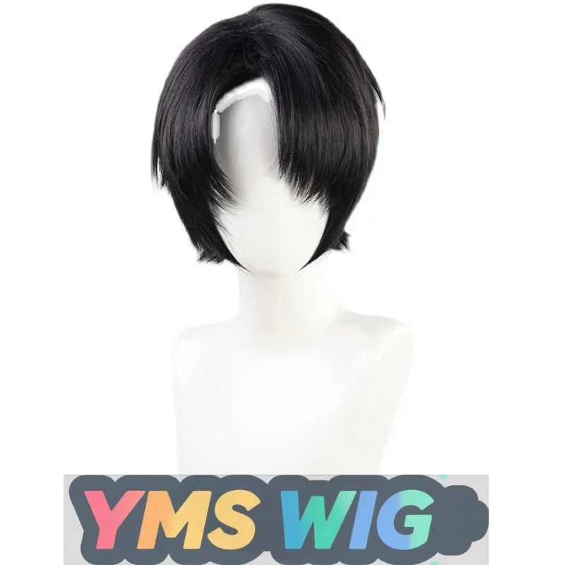 【Hombre libre】Peluca de cosplay Attack On Titan Captain Levi, rizo inverso negro, disponible